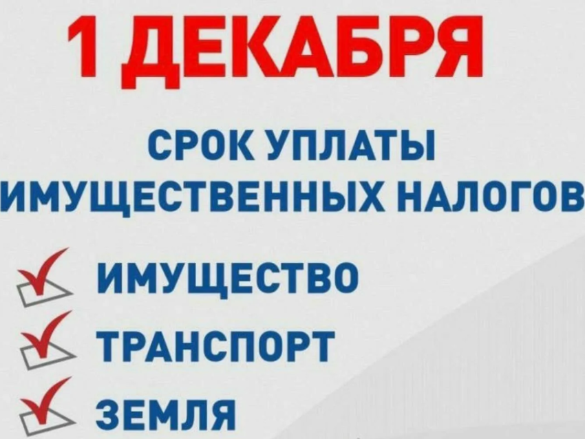 Срок уплаты в текущем году земельного, транспортного налогов, налога на имущество физических лиц истекает 2 декабря 2024 года