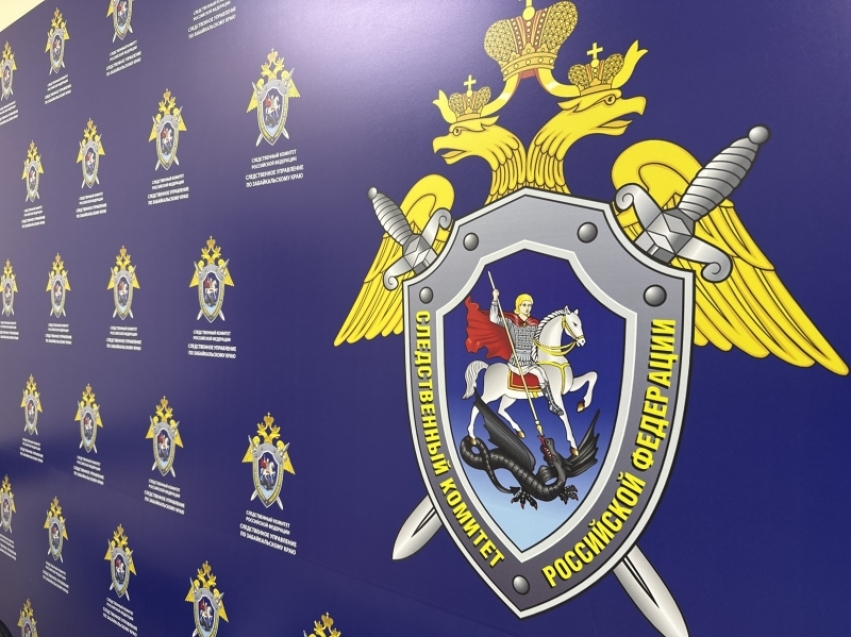 В региональных следственных управлениях Следственного Комитета России появились представительства Информационного центра