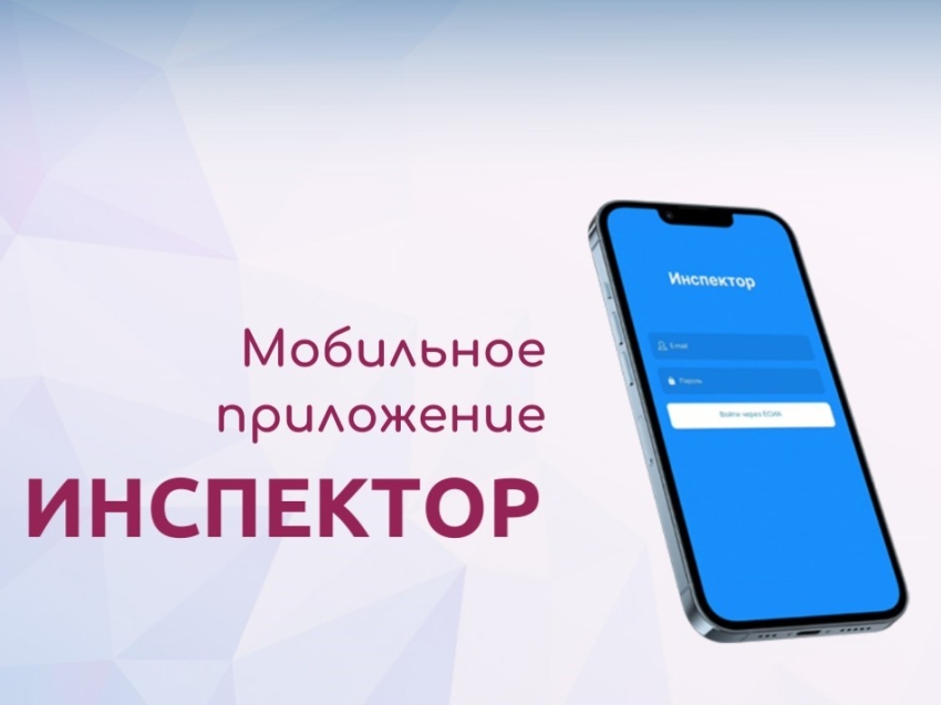 ​Мобильное приложение «Инспектор»: цифровизация контрольно‑надзорной деятельности в Забайкальском крае