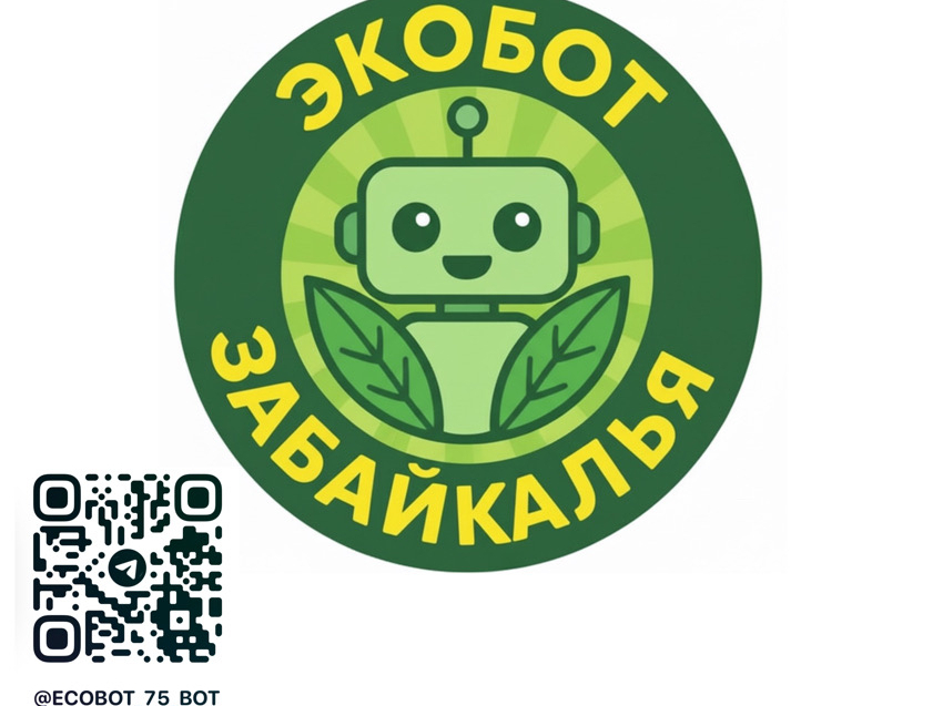 Минприроды региона запустило систему мониторинга экологической обстановки «Экобот Забайкалья»