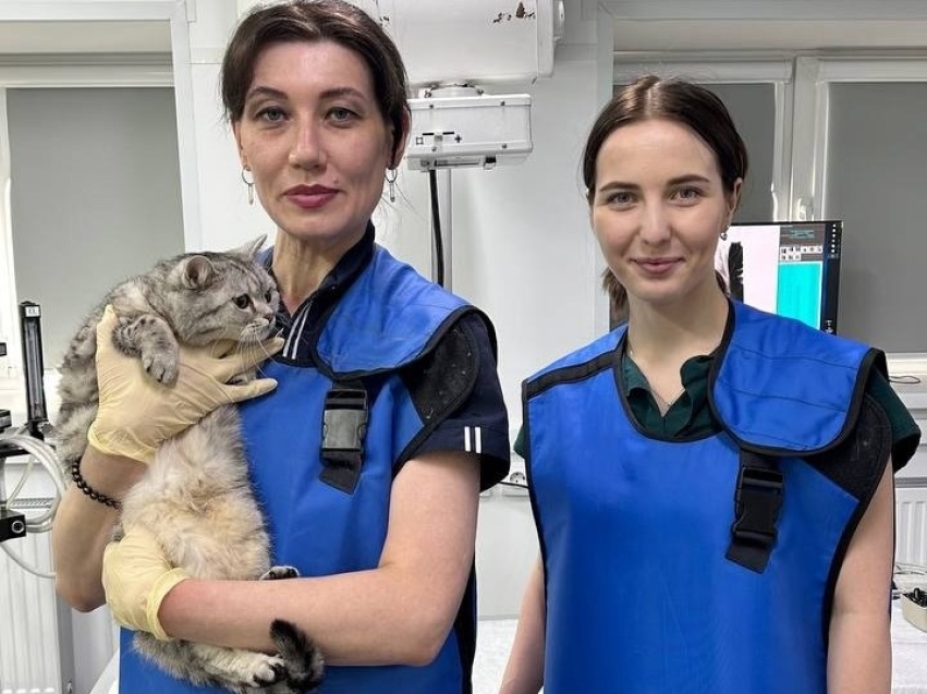 Забайкальские ветеринары повышают свой профессиональный уровень