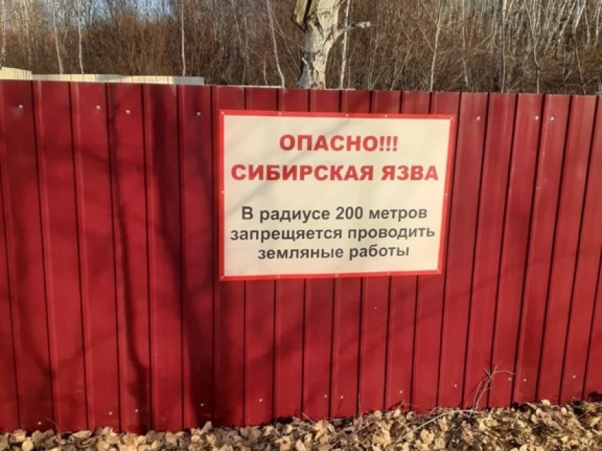 Сибирская язва: угроза, которую нельзя игнорировать