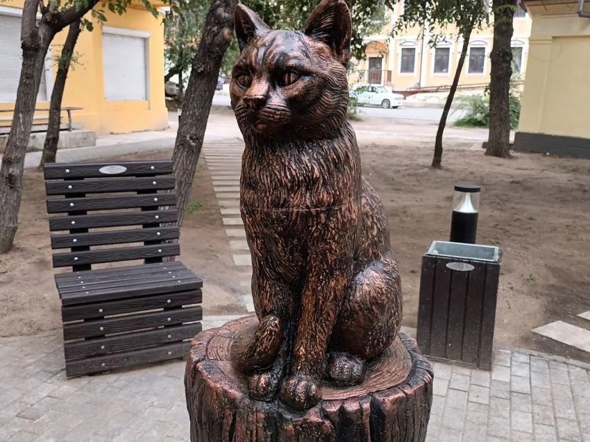 Кот, который не ходит к ветеринару, но всё равно «на учёте» у Госветслужбы 