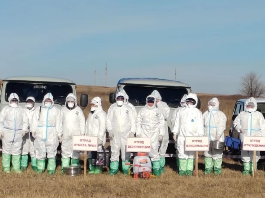 В Борзинском округе прошли командно-штабные учения по ликвидации условного очага ящура