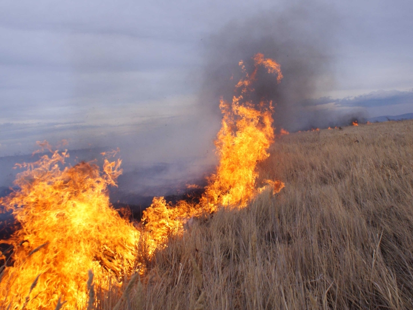 Затраты на тушение природного пожара будут взысканы с виновника в Хилокском районе