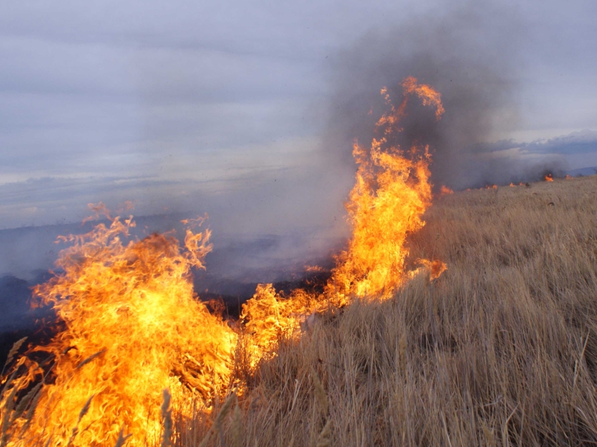 ​В Хилокском районе продолжается борьба с поджигателями леса