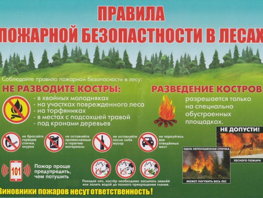 ПАМЯТКА  о правилах пожарной безопасности в лесах
