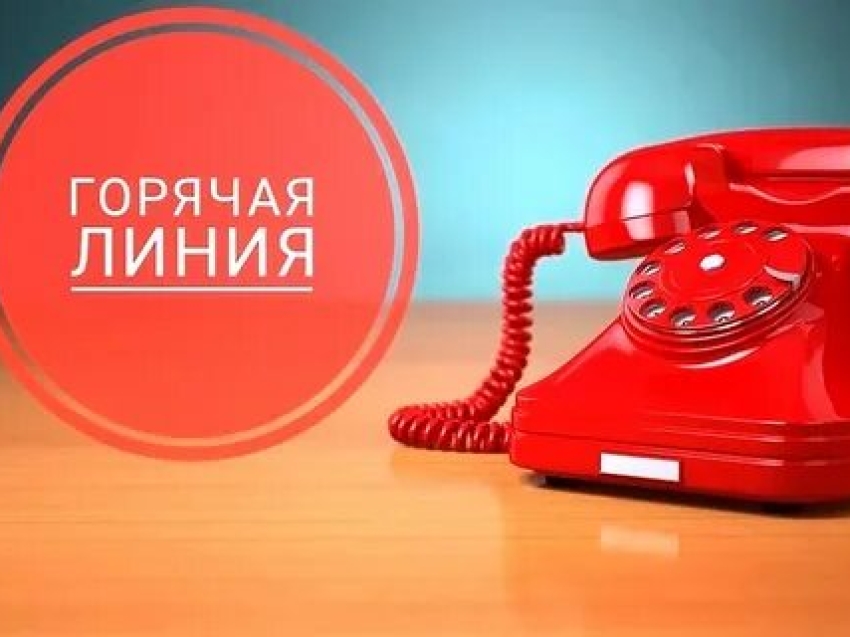 «Горячая линия»  по профилактике инфекций, передающихся клещами.
