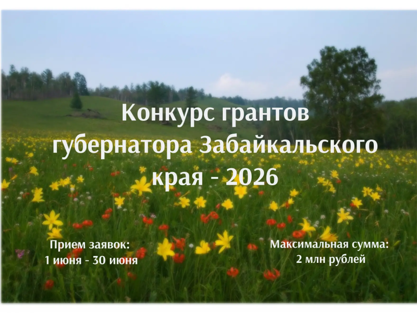 Стартовал конкурса грантов Губернатора 2026 года
