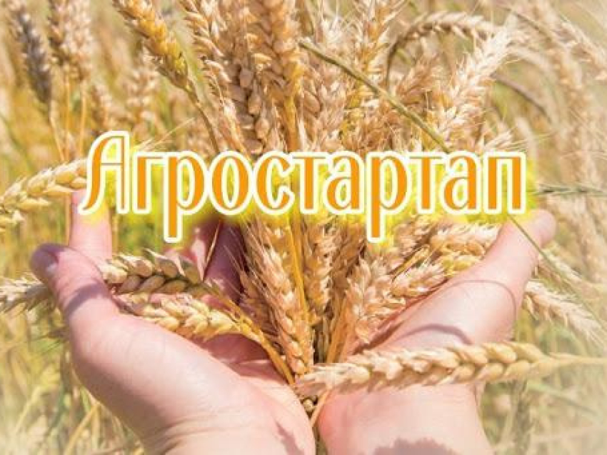 Предоставление гранта "Агростартап"