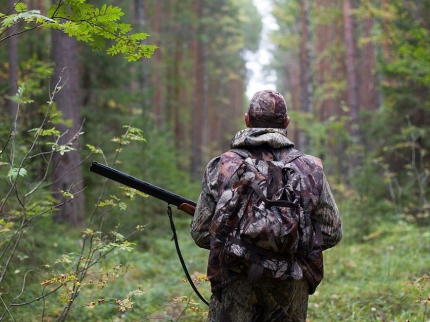 Об установлении ограничений охоты в охотничьих угодьях Забайкальского края, за исключением особо охраняемых природных территорий
