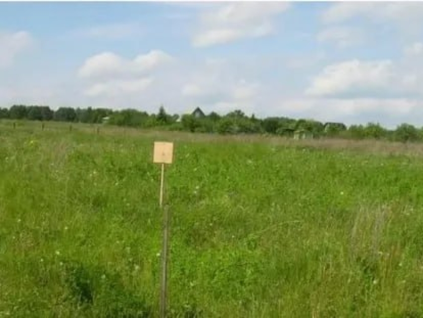 Памятка "Земельные участки участникам СВО"