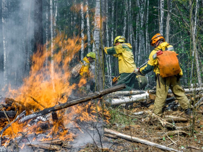 В 2020 году прокуратурой района с виновников природных пожаров взысканы расходы на их тушение