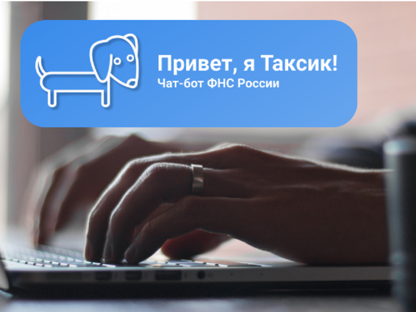Забайкальцы могут задать вопросы виртуальному помощнику  на сайте ФНС России