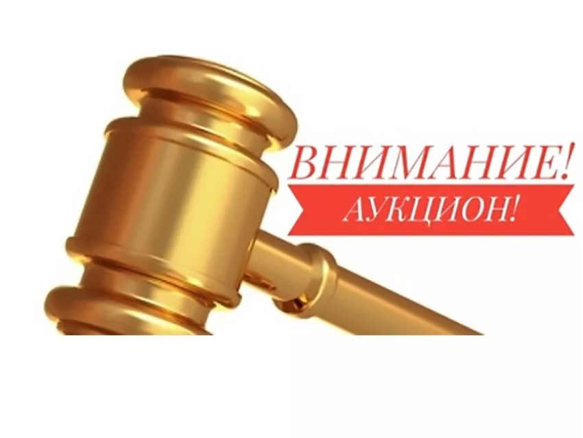 Министерство природных ресурсов Забайкальского края  организует проведение аукциона