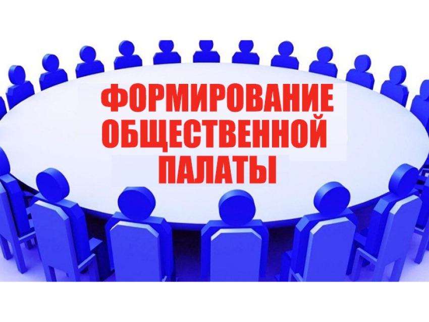 В Кыринском муниципальном округе дан старт формирования Общественной палаты 