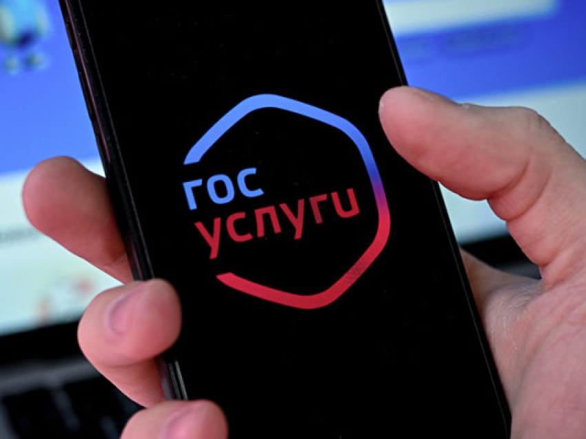 Сервисы для организации проверки законности торговли появились на «Госуслугах»