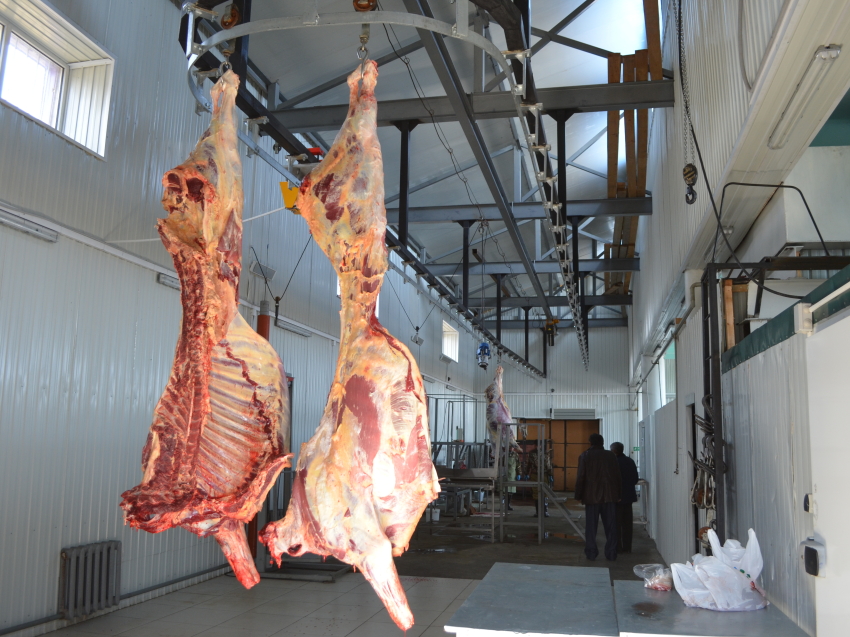 Запрет на поставку мяса в регионы ДФО снят с ряда районов Забайкалья