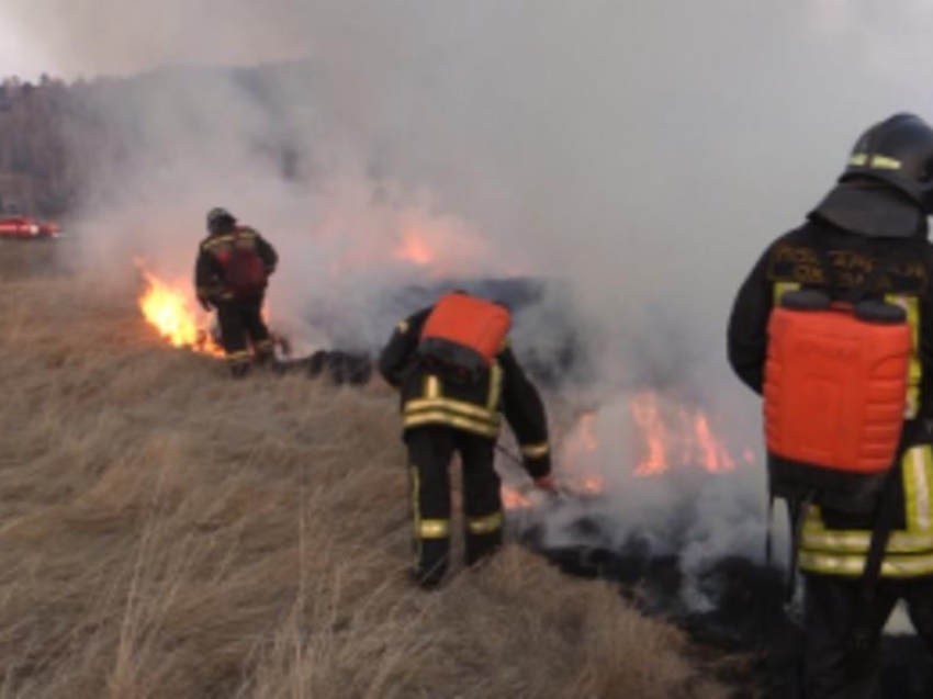 Профотжиги травы допускаются лишь организациями, имеющими лицензию на тушение пожаров