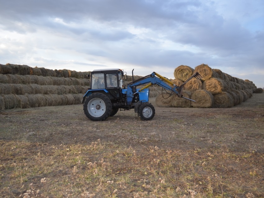 Объемы заготовки сена в Забайкалье превысили прошлогодний уровень на 7%