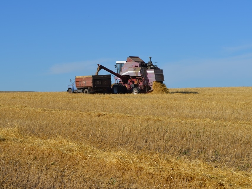 Забайкальские аграрии получили на 10 тысяч тонн больше зерна, чем год назад