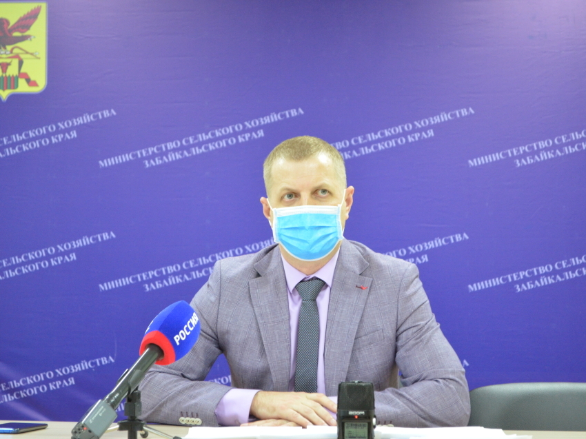 Пресс-конференция Дениса Бочкарева перенесена на 24 марта