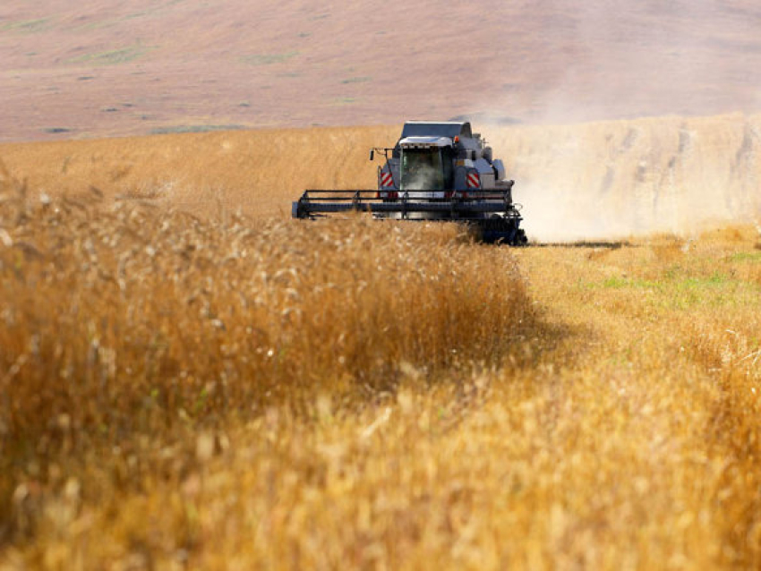 Урожай зерновых культур в Забайкалье вырос на 32%