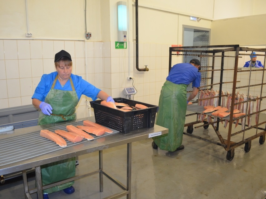 Сельхозкооперативам Забайкалья направят на развитие 62 миллиона рублей 