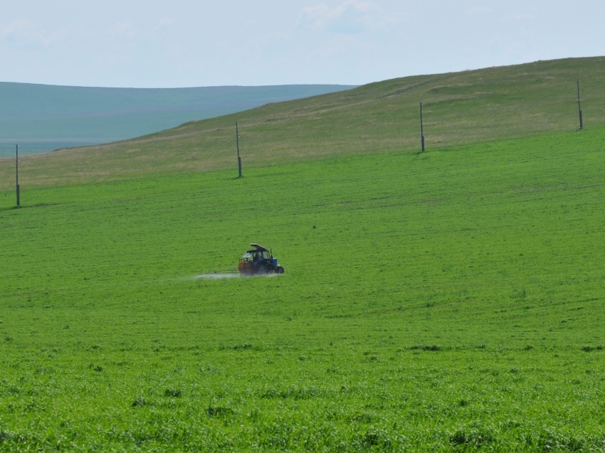 Хозяйства Zабайкалья приступили к химической защите посевов