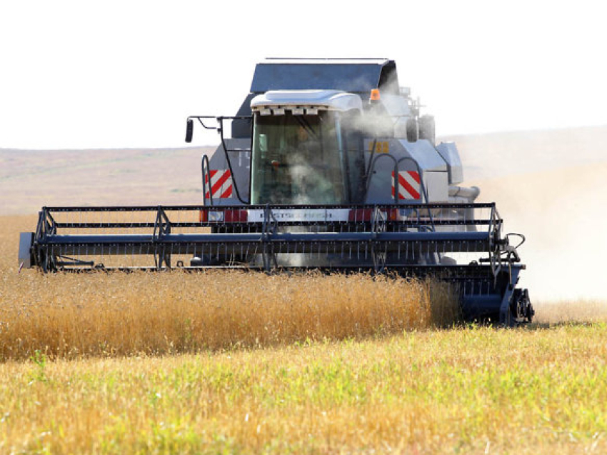 Урожай зерновых культур в Забайкалье на 20 тысяч тонн превысил уровень 2021 года