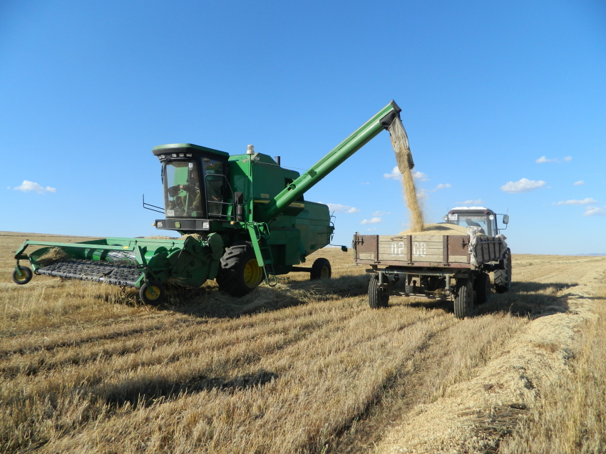 Производителям зерновых культур в Забайкалье выплатили 3,2 миллиона рублей господдержки