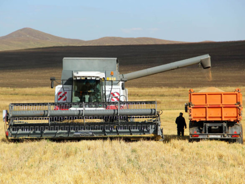 ​Хозяйствам из шести районов Забайкалья направят 3,7 миллиона рублей на производство зерновых культур