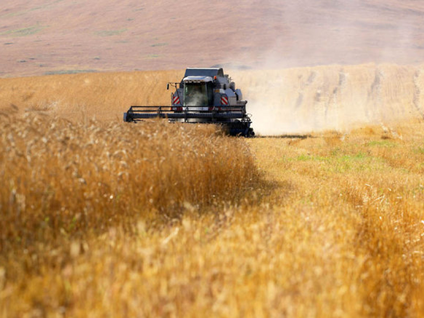 ​Аграрии Забайкалья убрали 16% посевов зерновых культур