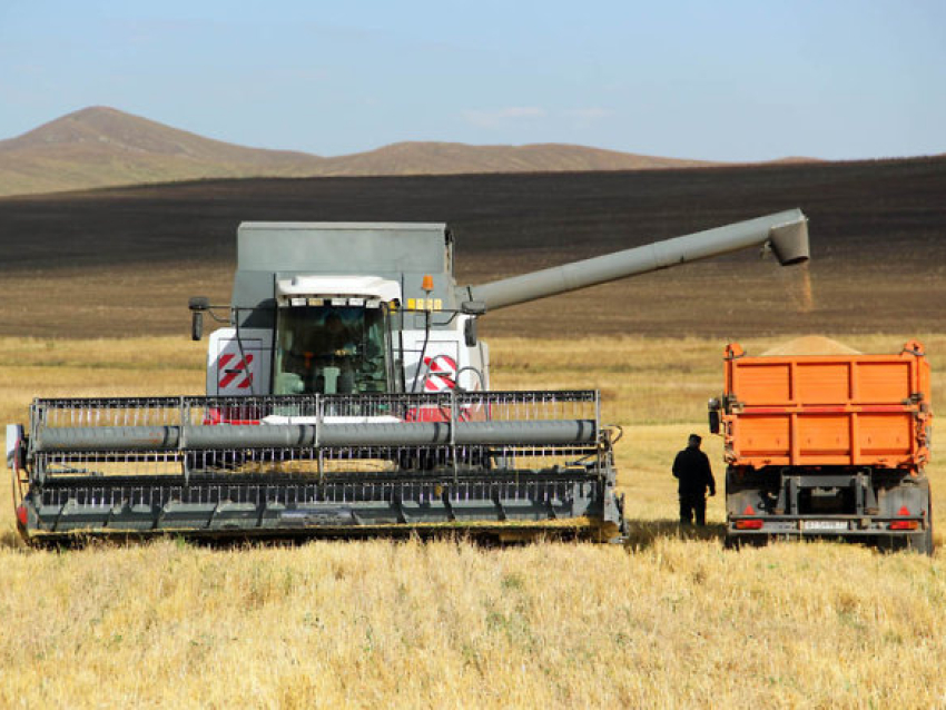 Урожайность зерновых культур в Забайкалье превышает уровень 2022 года