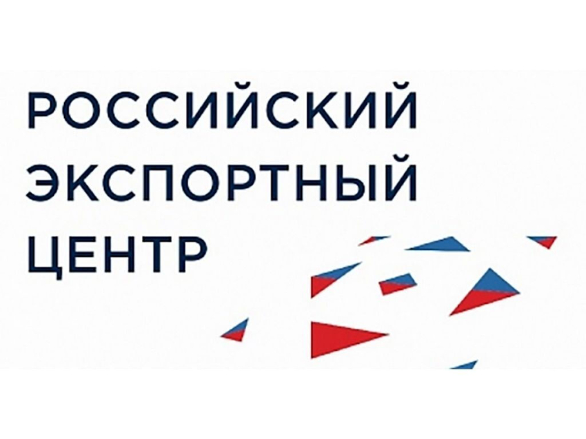 ​РЭЦ запускает «Конструктор экспортного контракта» — бесплатный инструмент для МСП