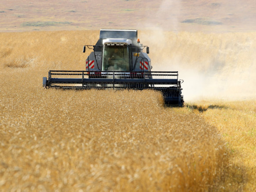 ​Урожайность сельскохозяйственных культур увеличилась в Забайкалье