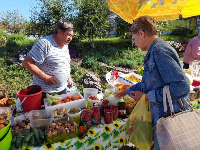 Садоводы Забайкалья представят свою продукцию на выставке-ярмарке «Золотая сотка»