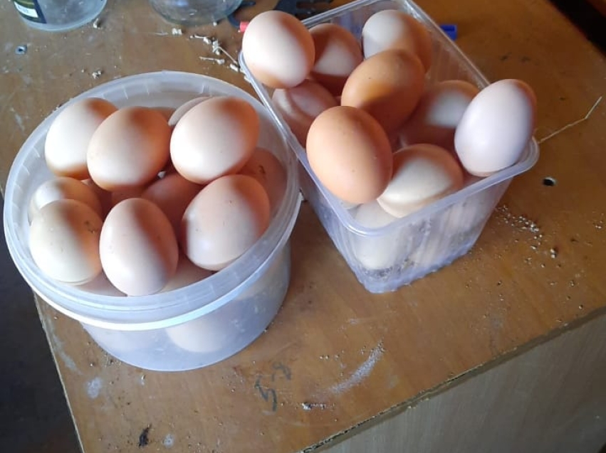 В Забайкалье за неделю стали дешевле куриные яйца, сахар и соль