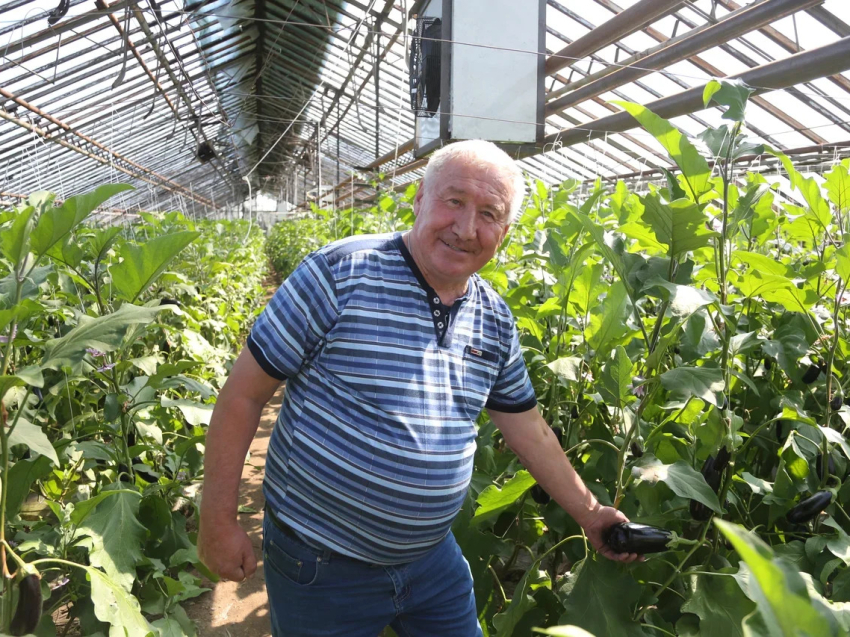Господдержка позволит «Черновскому овощеводу» плотнее заняться выращиванием зерновых
