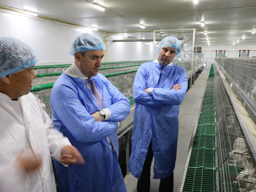 Замминистра сельского хозяйства РФ Максим Увайдов посетил читинскую ферму «Эко-фуд» 