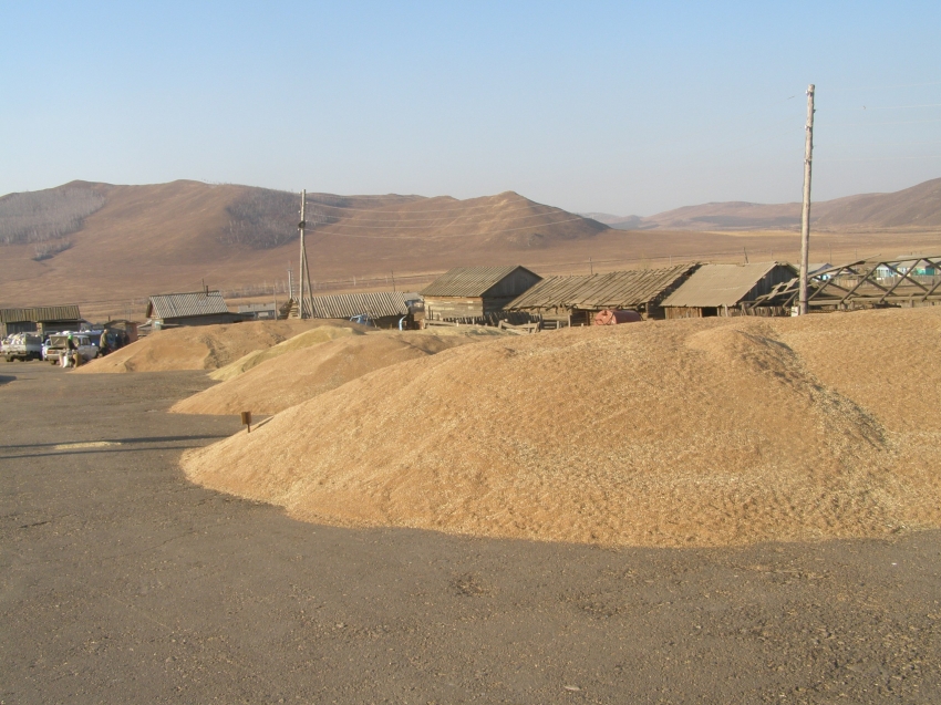 Компания по выращиванию зерновых культур получила господдержку в Zабайкалье