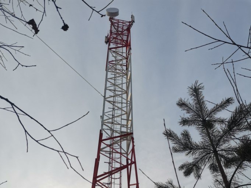 МТС прокачала сеть LTE для дачников Краснокаменска