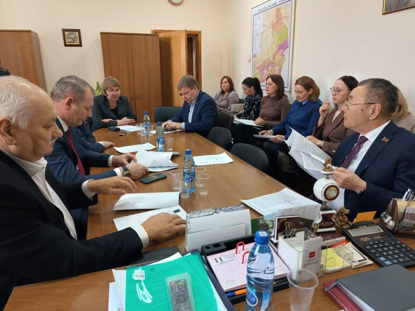 Министерство финансов представило законопроект об изменении в бюджетном процессе на заседании профильного комитета в Заксобрании 