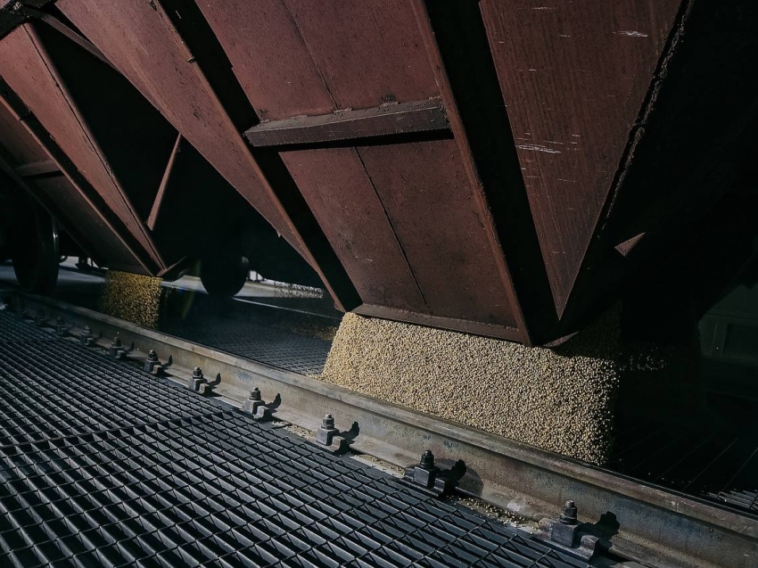 Через Забайкальский зерновой терминал будут поставлять в Китай 5 миллионов тонн зерна