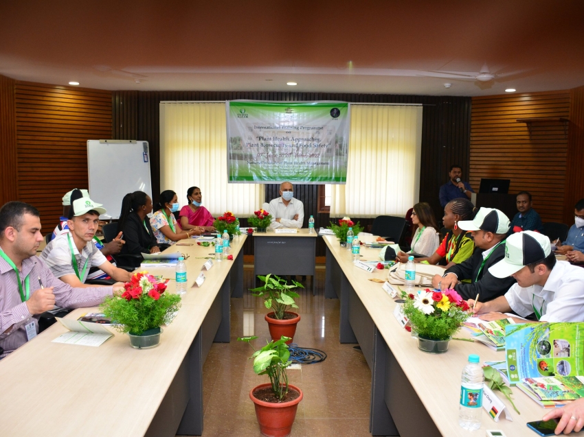 Забайкальцам предлагают пройти обучение международного стандарта