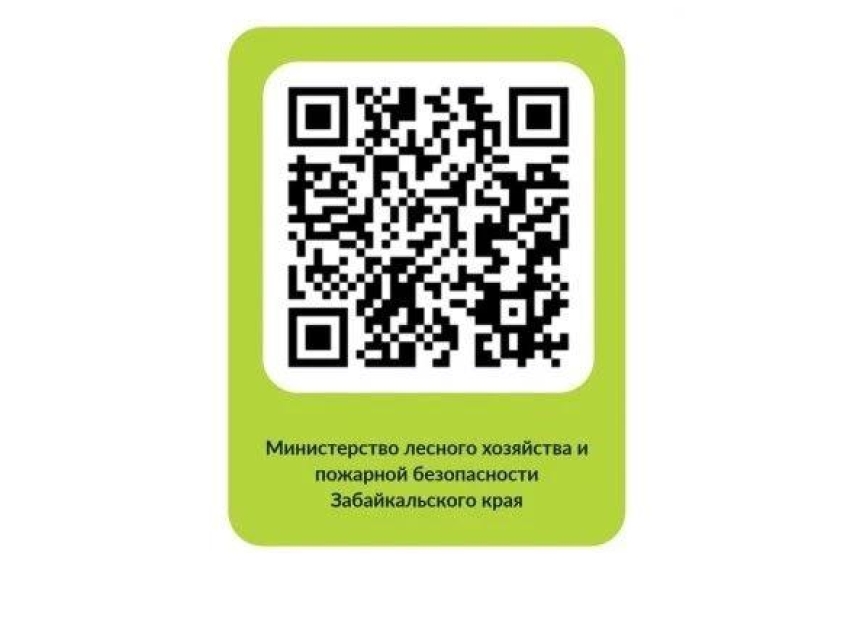 Оценка качества государственных услуг