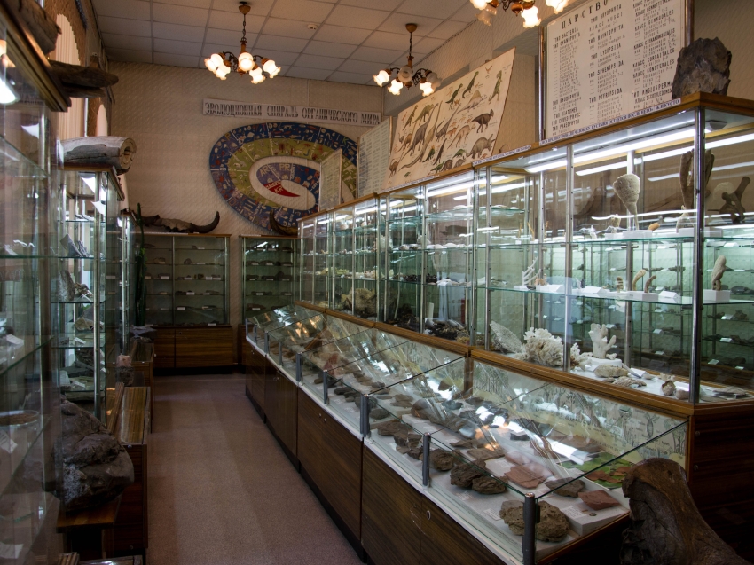 Тысячи уникальных образцов минералов и редчайшие экспонаты: геологический музей ЗабГУ отмечает свое 45-летие