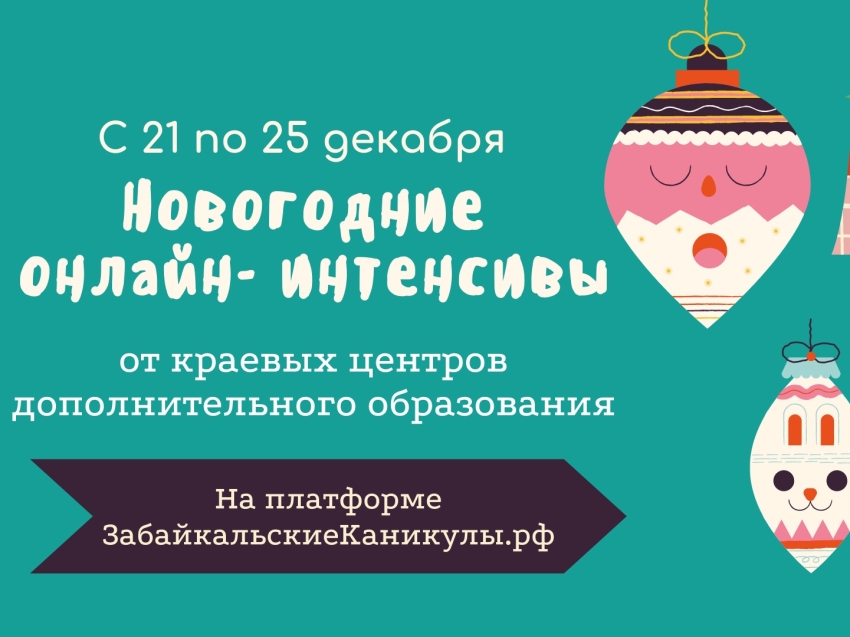 Забайкальские школьники пройдут новогодние онлайн-интенсивы по допобразованию  