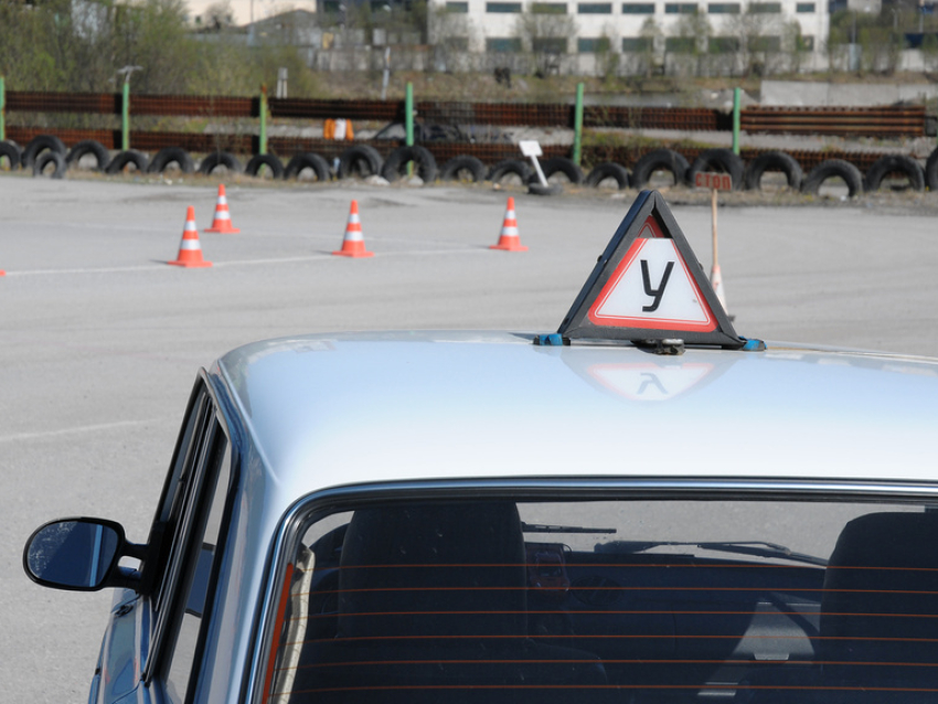 Минпросвещения России утвердит новые примерные программы профессиональной подготовки водителей разных категорий