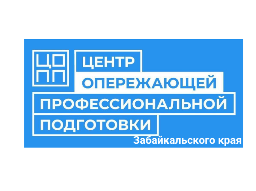 Центр опережающей профессиональной подготовки по направлению «Информационные и коммуникационные технологии» создан в краевой столице